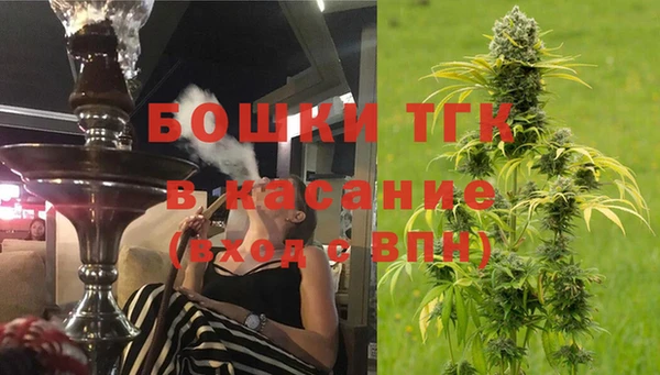 сатива Весьегонск