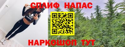 СК Нальчик