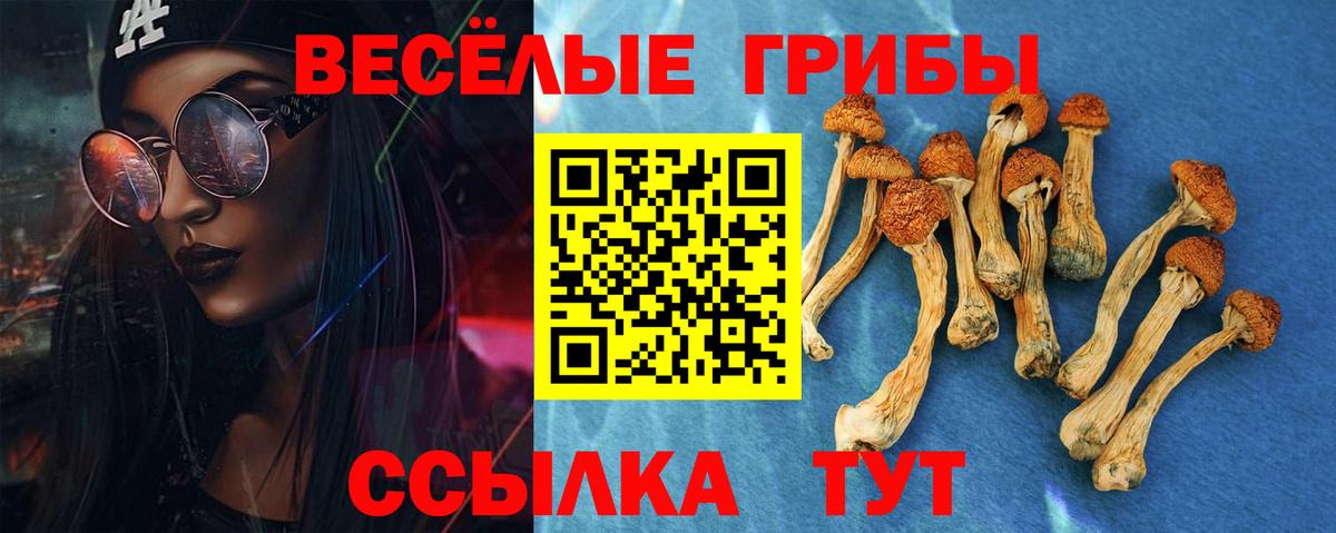 Псилоцибиновые грибы прущие грибы  Вход с VPN  Новозыбков  Псилоцибиновые грибы ЛСД 