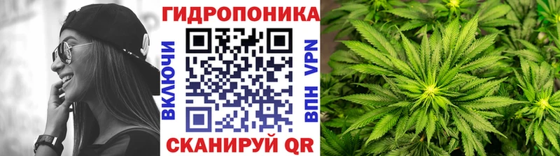OMG ссылка Новозыбков Марихуана Ganja где найти